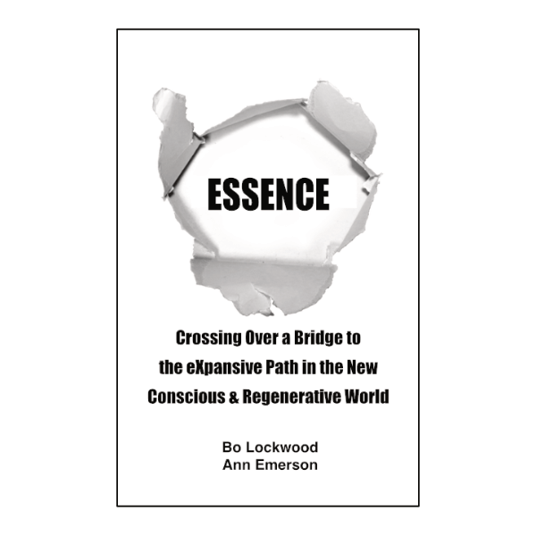 ESSENCE Book 2 cover: Crossing Over a Bridge to the eXpansive Path, by Bo Lockwood and Ann Emerson